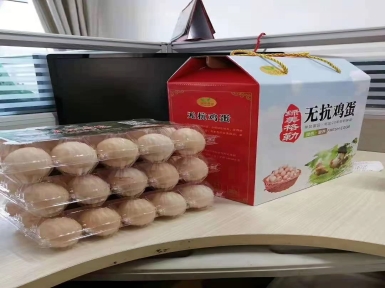 綠美格勒無抗雞蛋